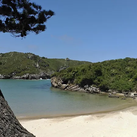 Casa El Pilpayu * 푸 데 야네스